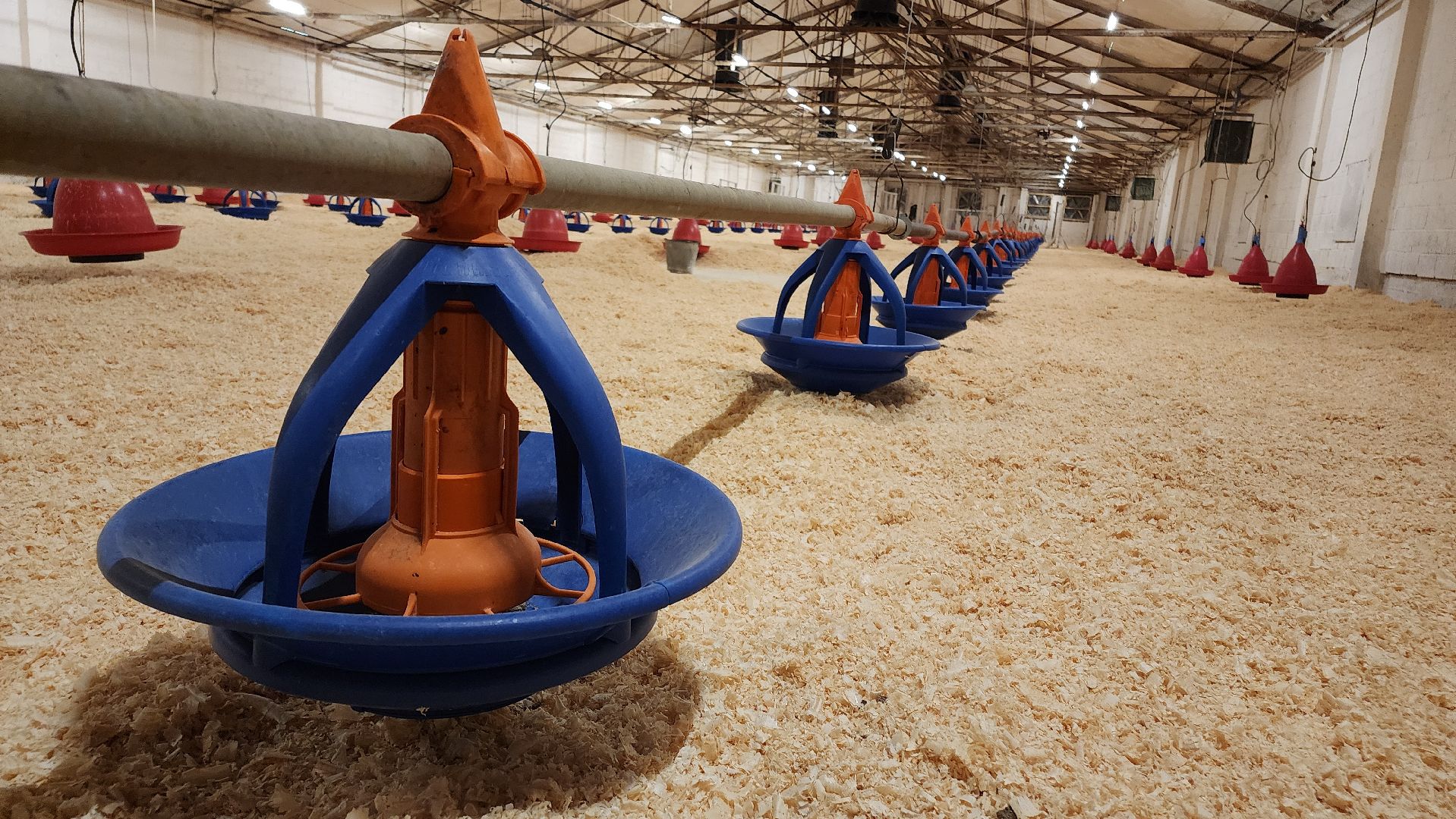 Егорьевск, птицефабрика, Московская область, подмосковье,