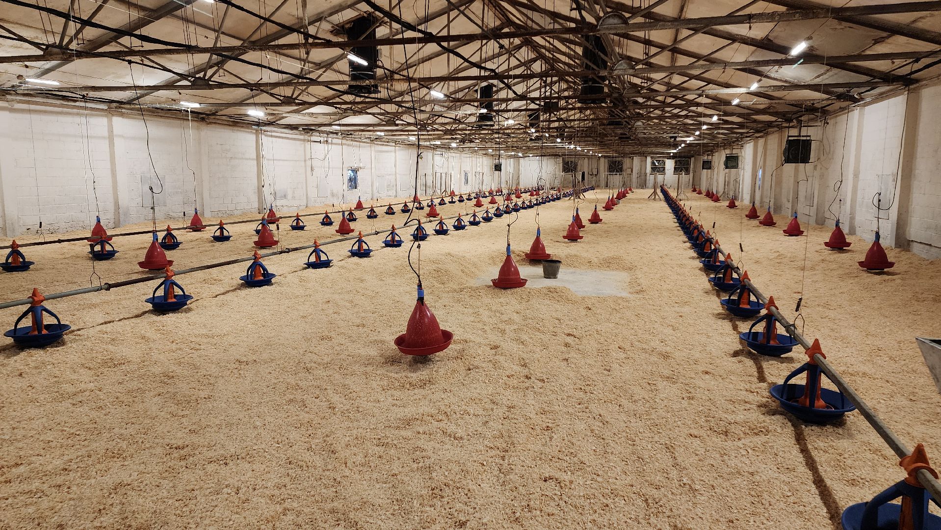 Егорьевск, птицефабрика, Московская область, подмосковье,