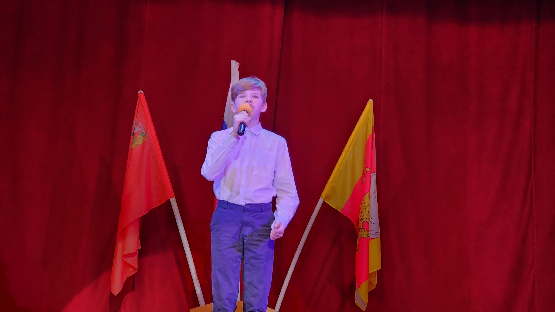 Егорьевск, Подмосковье, Московская область, Конкурс, пегас,