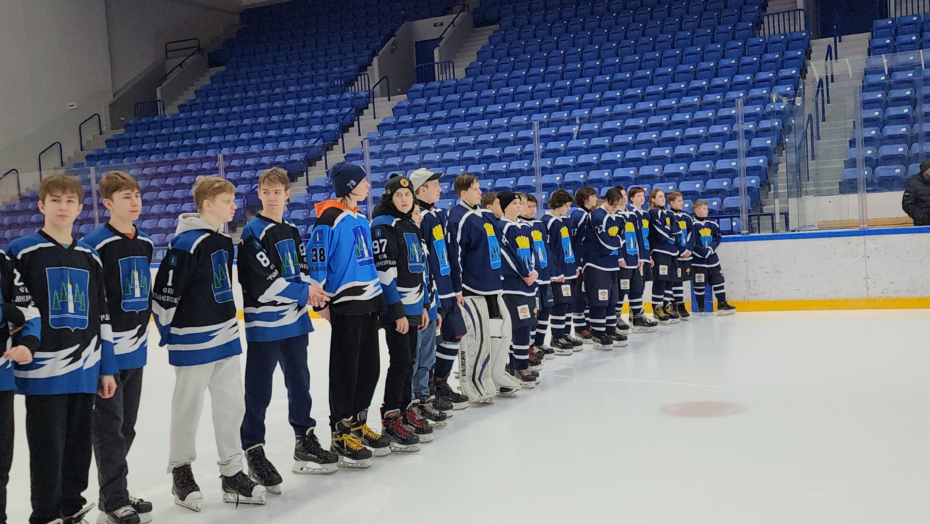 подольск, спорт, хоккей,