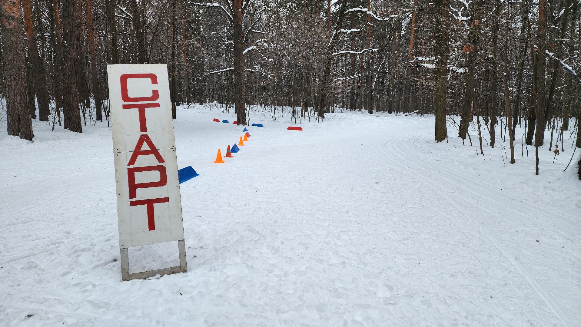 ГТО, лыжная гонка, сдача нормативов,