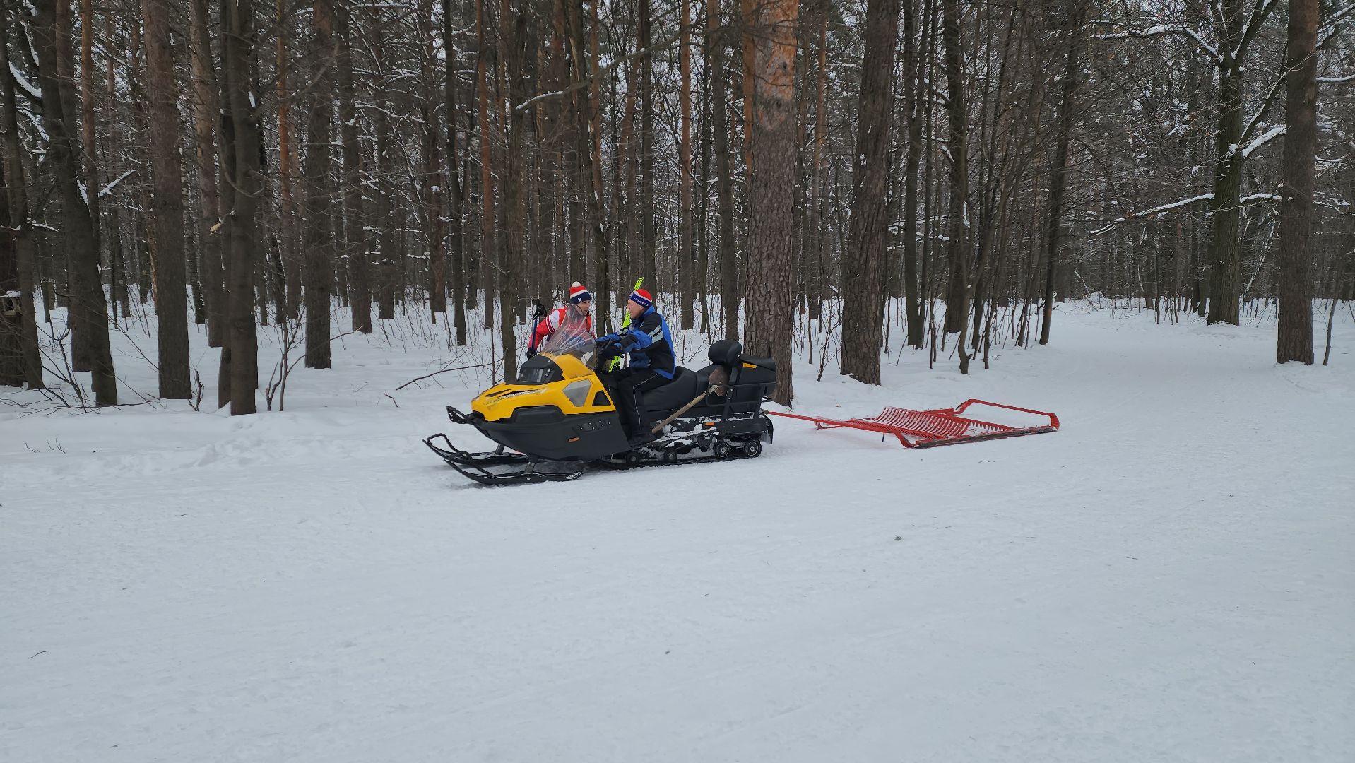 ГТО, лыжная гонка, сдача нормативов,