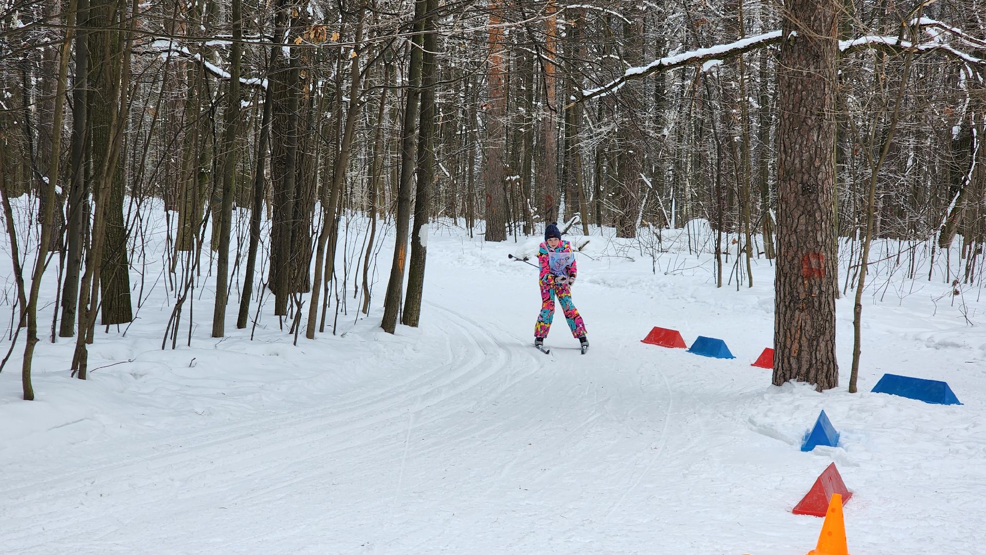 ГТО, лыжная гонка, сдача нормативов,