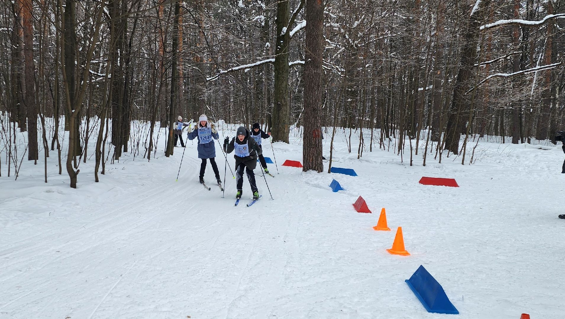 ГТО, лыжная гонка, сдача нормативов,