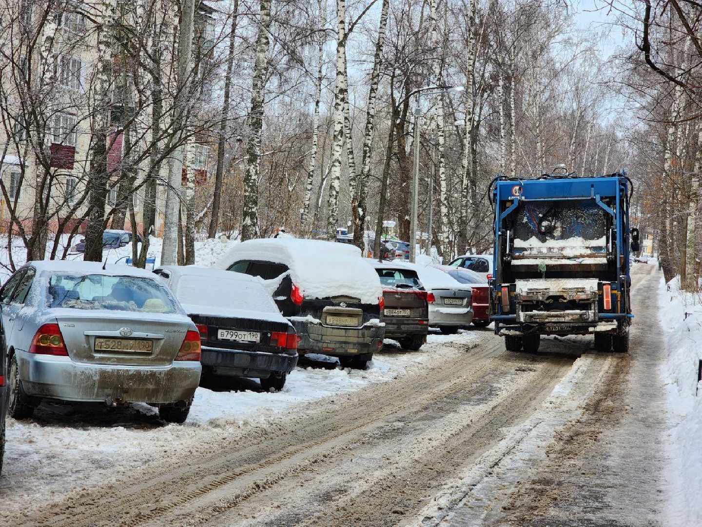 мытищи, дорожные знаки, контейнерная площадка,