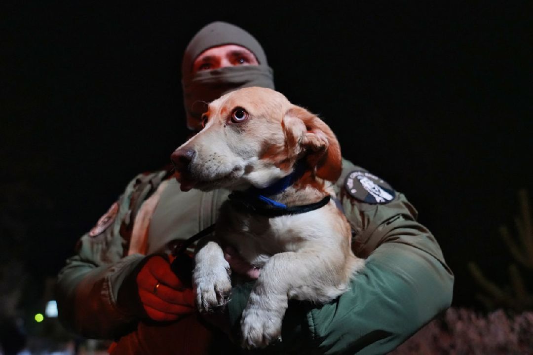 Сергиев Посад, Сергиево-Посадский городской округ, Пересвет, СВО, Специальная военная операция, ОМОН
