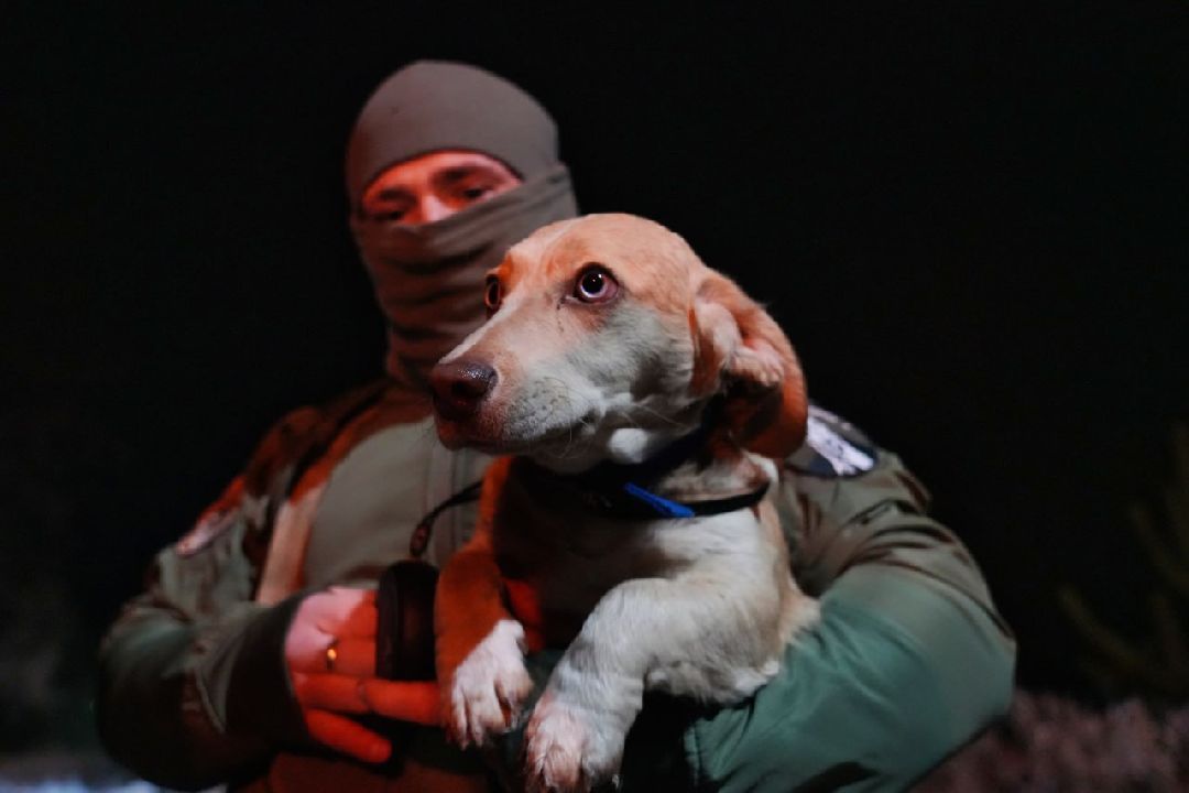 Сергиев Посад, Сергиево-Посадский городской округ, Пересвет, СВО, Специальная военная операция, ОМОН