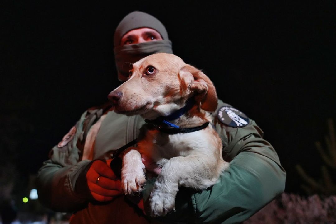 Сергиев Посад, Сергиево-Посадский городской округ, Пересвет, СВО, Специальная военная операция, ОМОН
