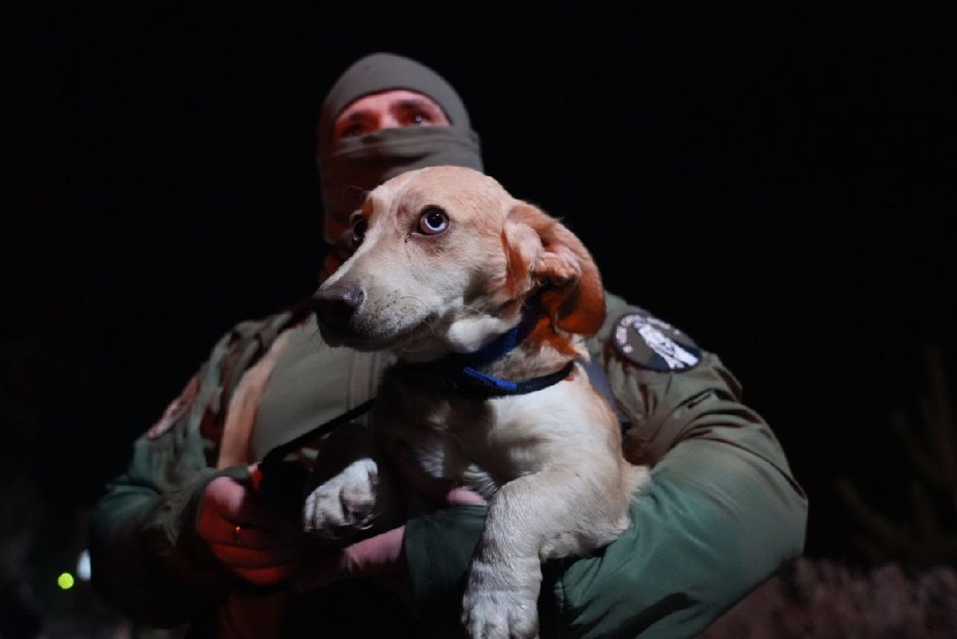 Сергиев Посад, Сергиево-Посадский городской округ, Пересвет, СВО, Специальная военная операция, ОМОН