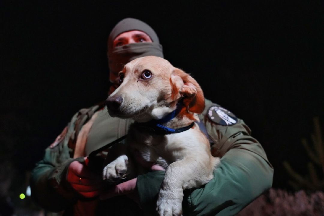 Сергиев Посад, Сергиево-Посадский городской округ, Пересвет, СВО, Специальная военная операция, ОМОН