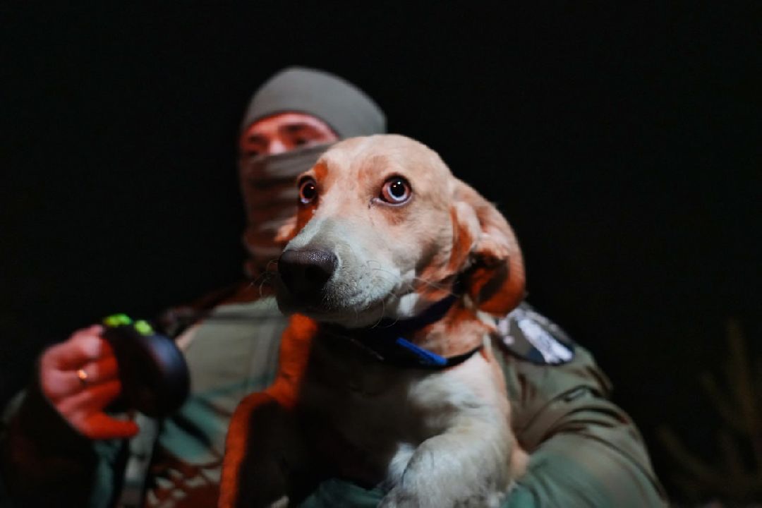 Сергиев Посад, Сергиево-Посадский городской округ, Пересвет, СВО, Специальная военная операция, ОМОН