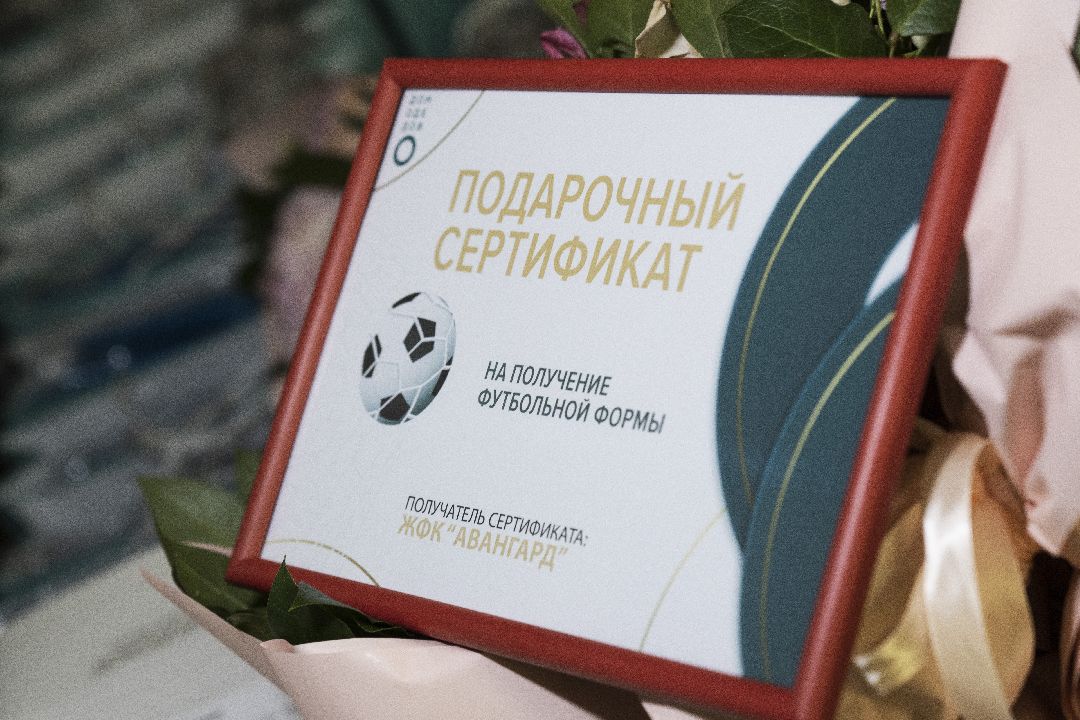 футбол, стадион Авангард, Домодедово