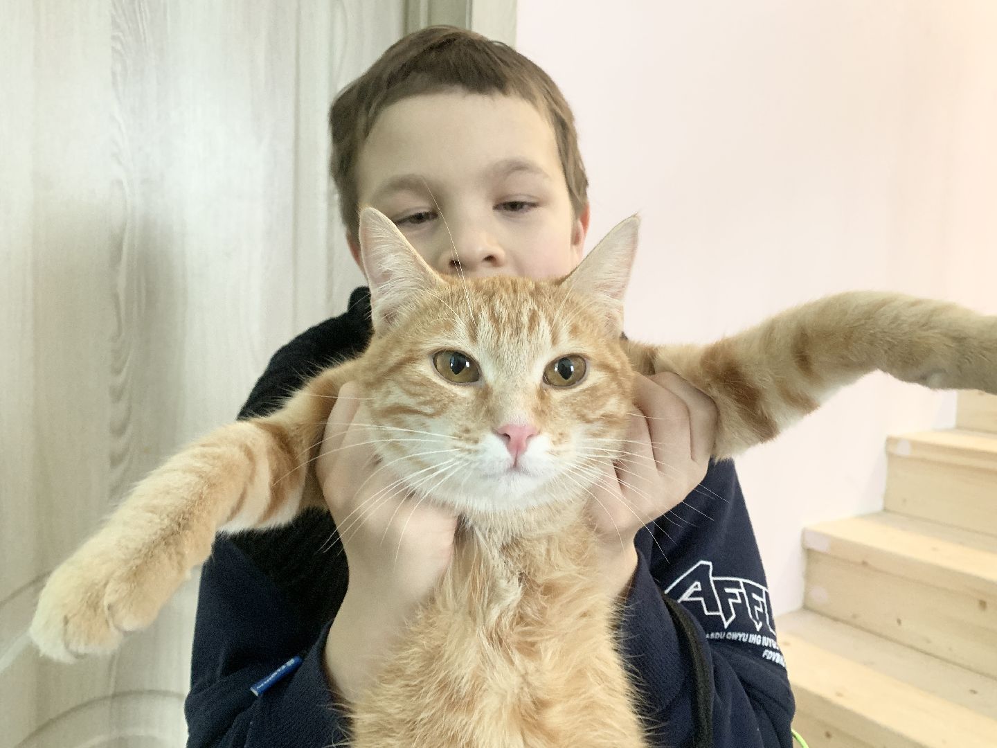 Балашиха, Подмосковье, Мособлпожспас, спасение котов,