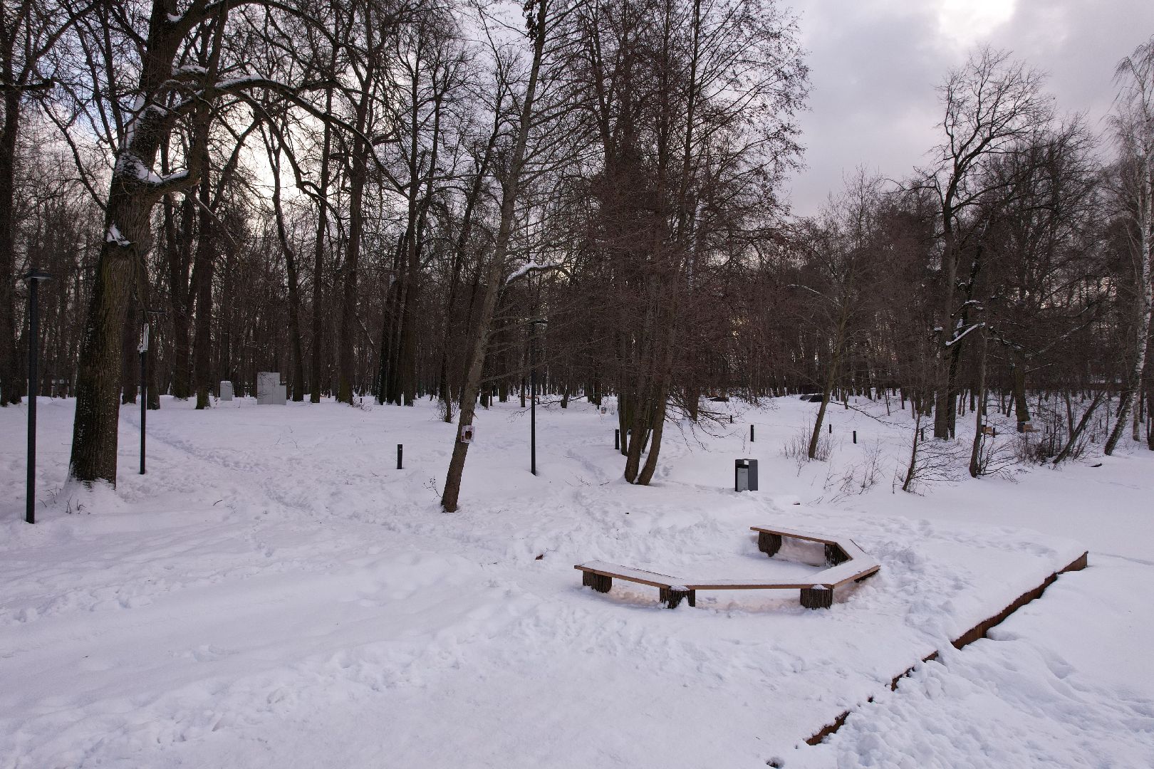 видео с коптера, парк,