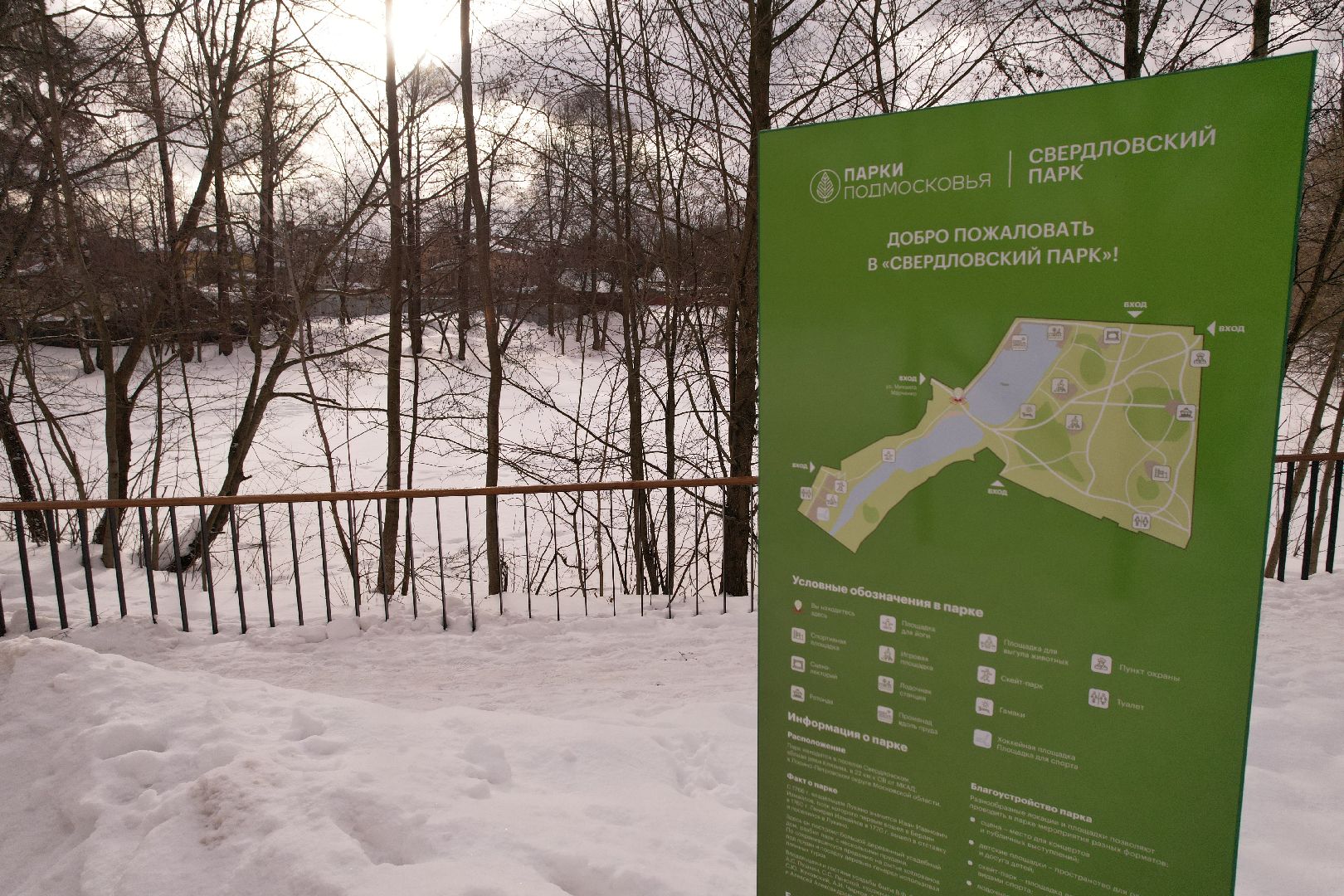 видео с коптера, парк,