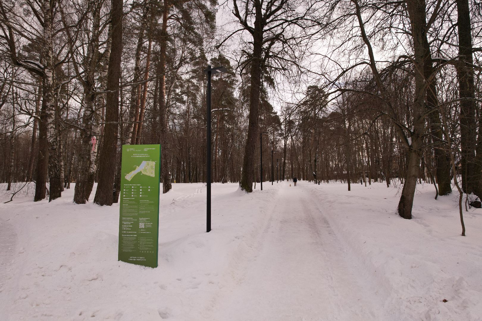видео с коптера, парк,