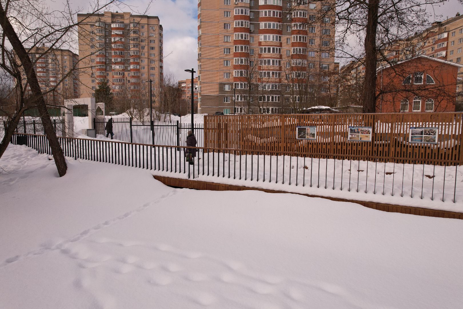 видео с коптера, парк,