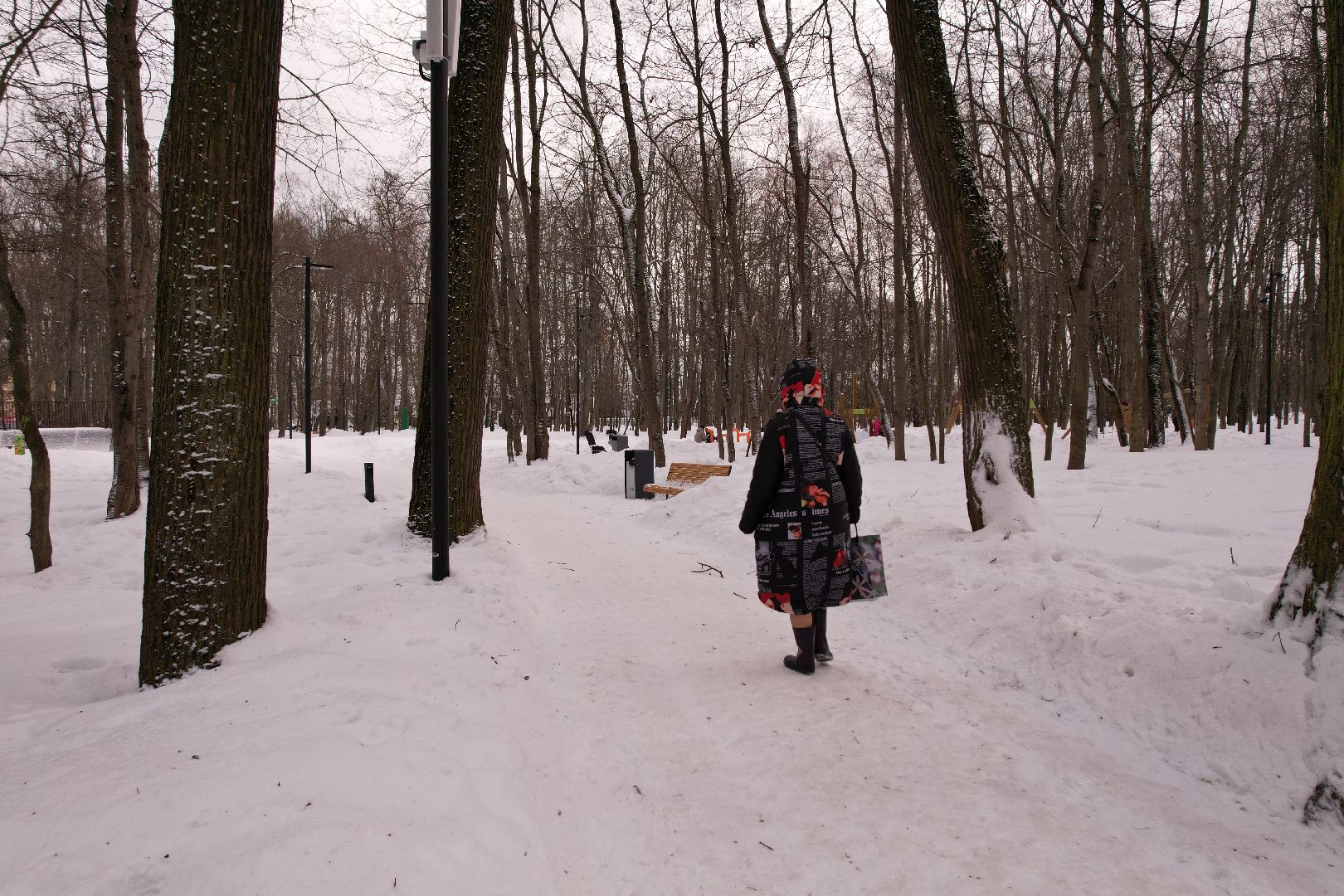 видео с коптера, парк,