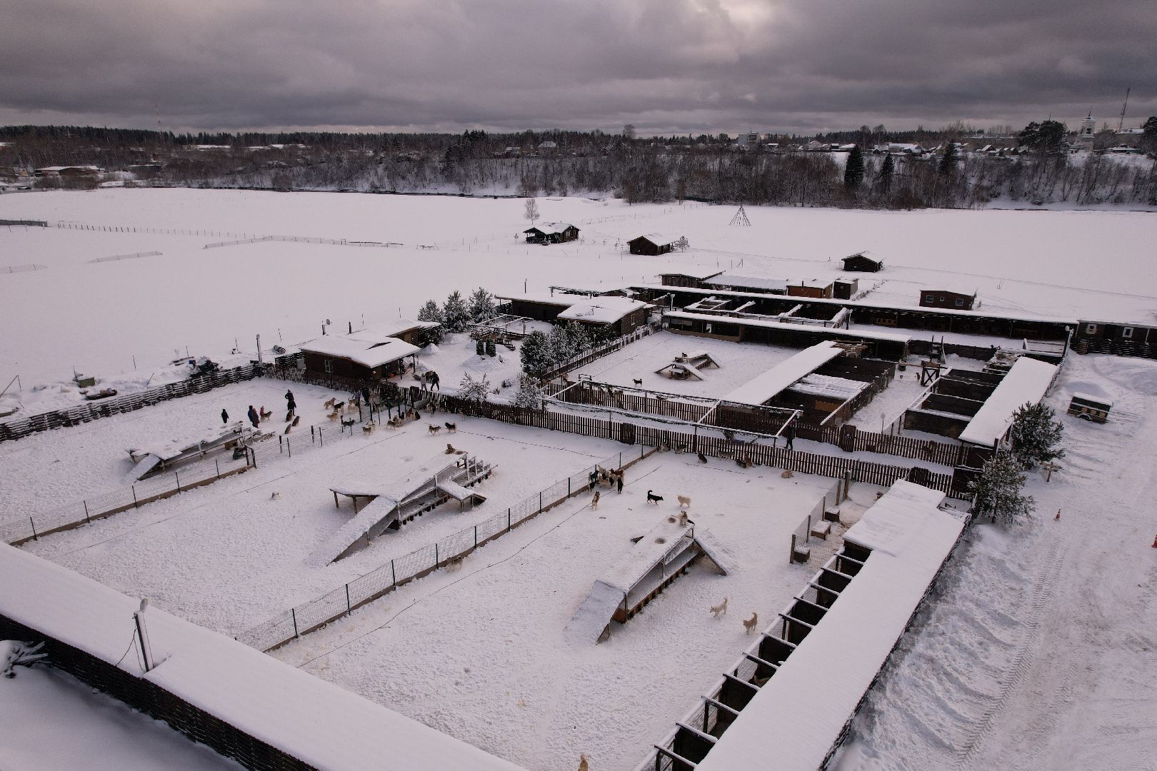 видео с коптера, руза, хаски,