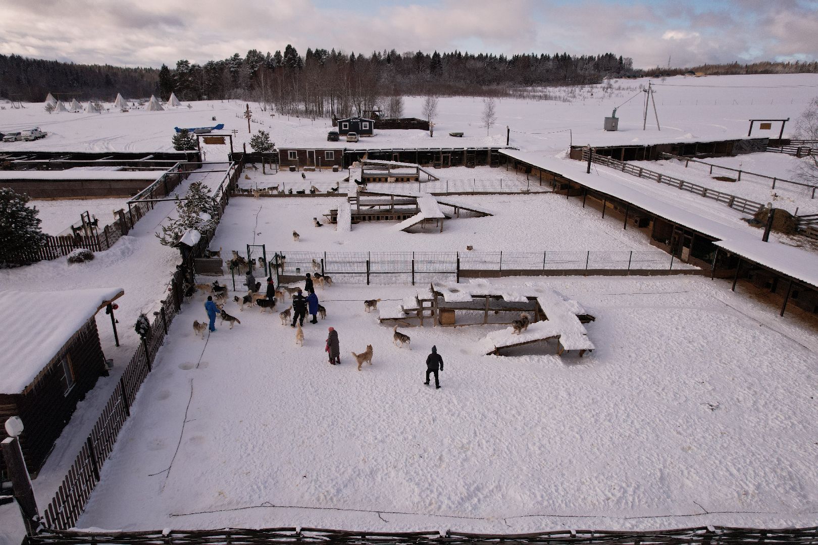 видео с коптера, руза, хаски,