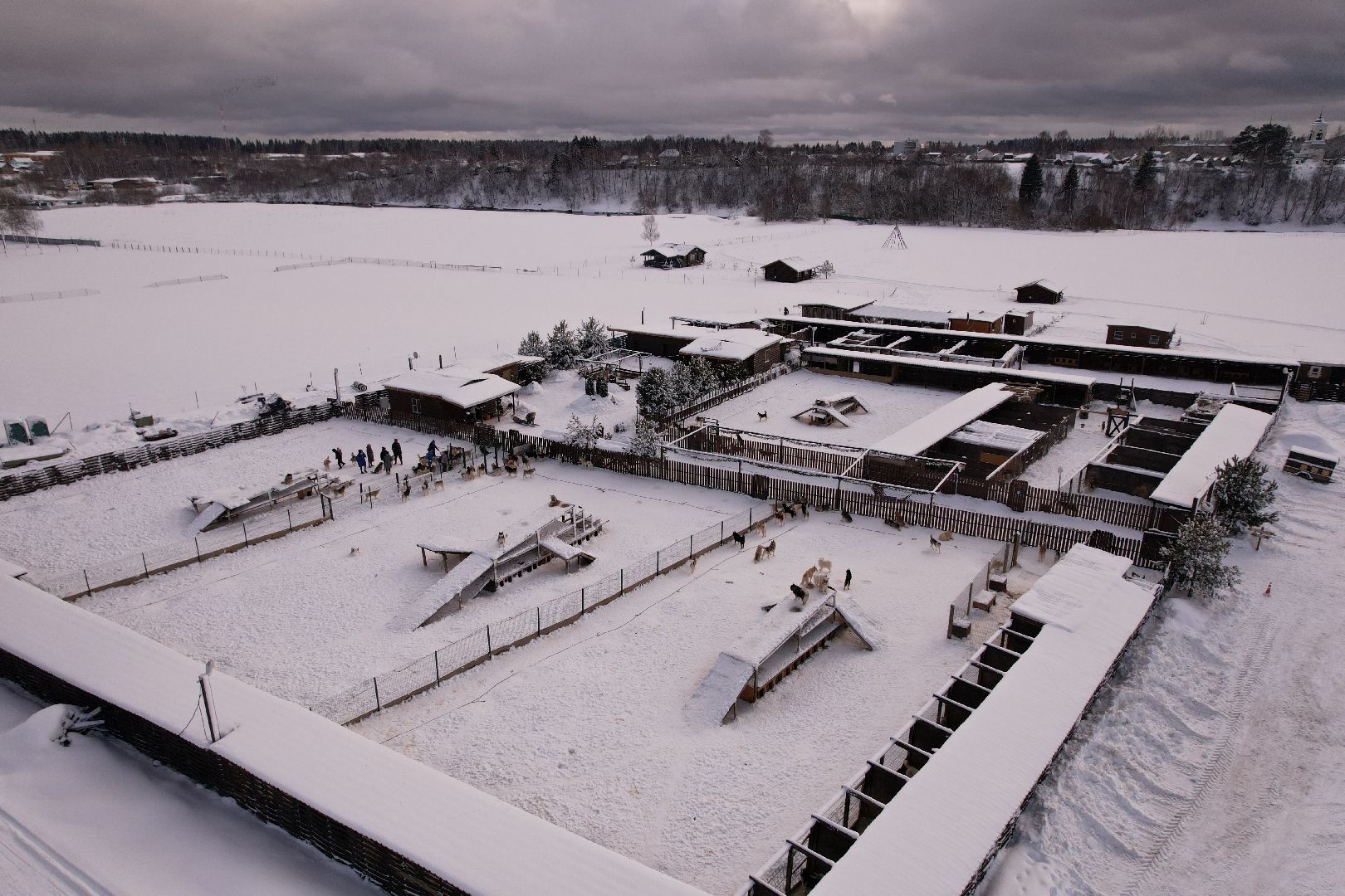 видео с коптера, руза, хаски,
