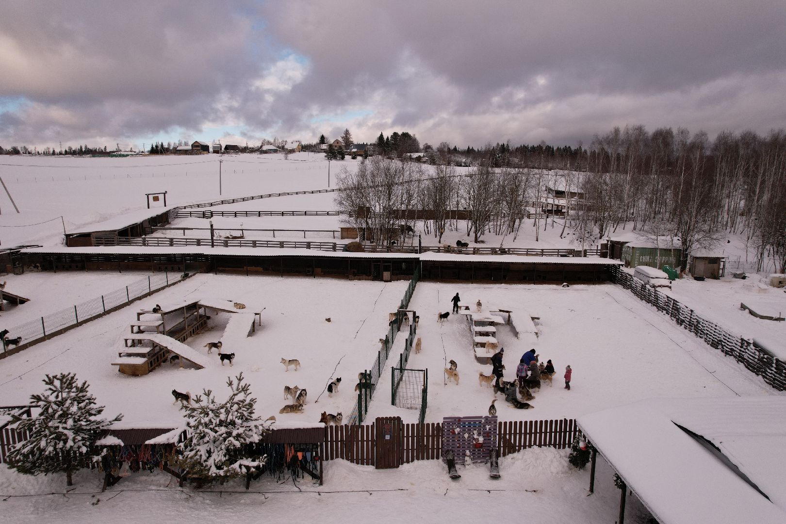 видео с коптера, руза, хаски,