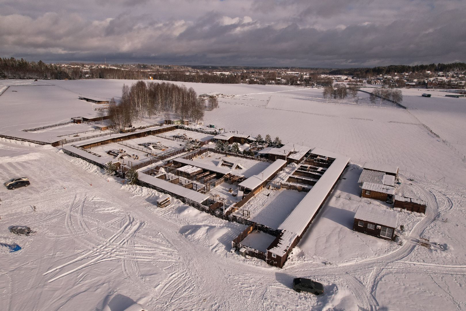 видео с коптера, руза, хаски,