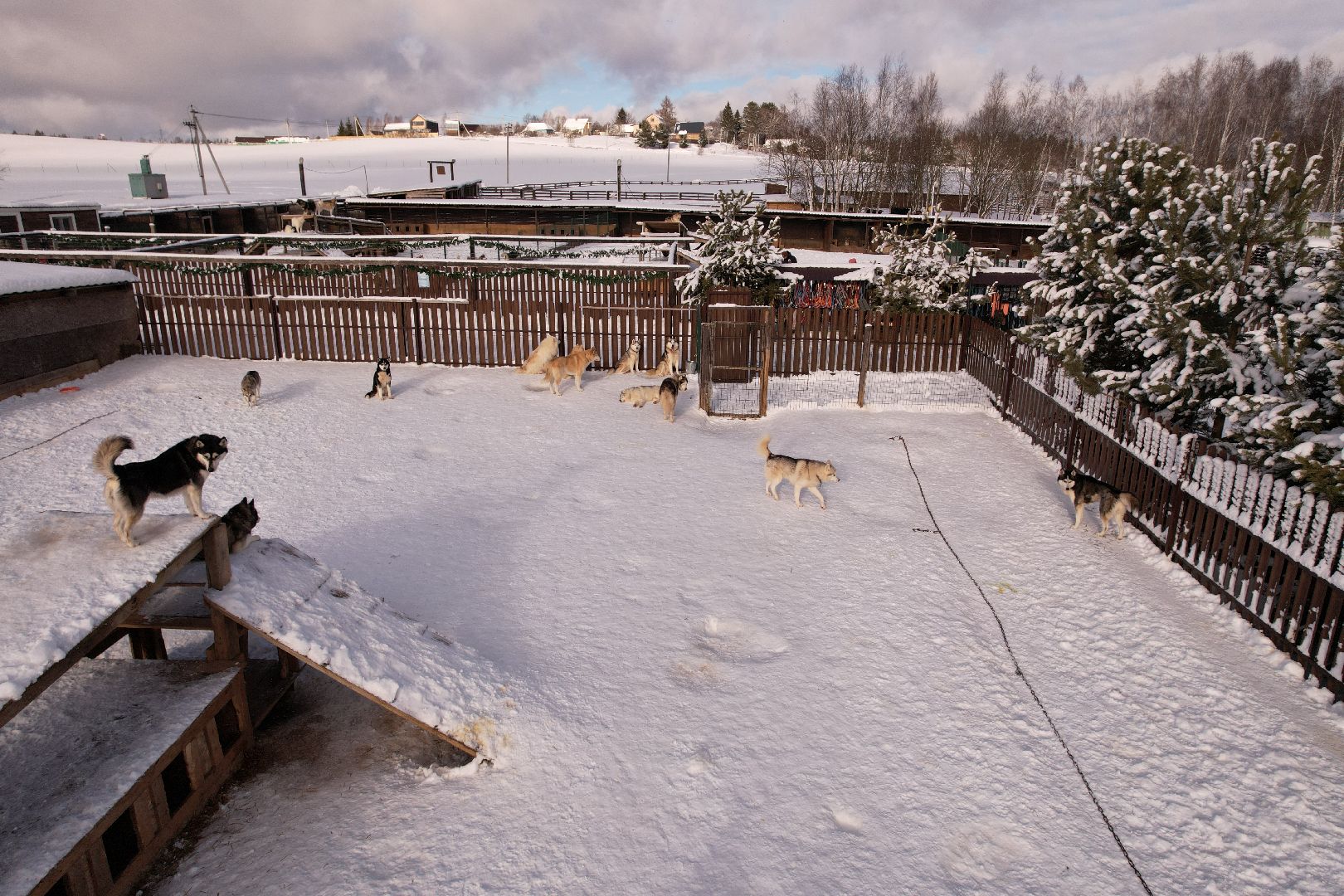 видео с коптера, руза, хаски,