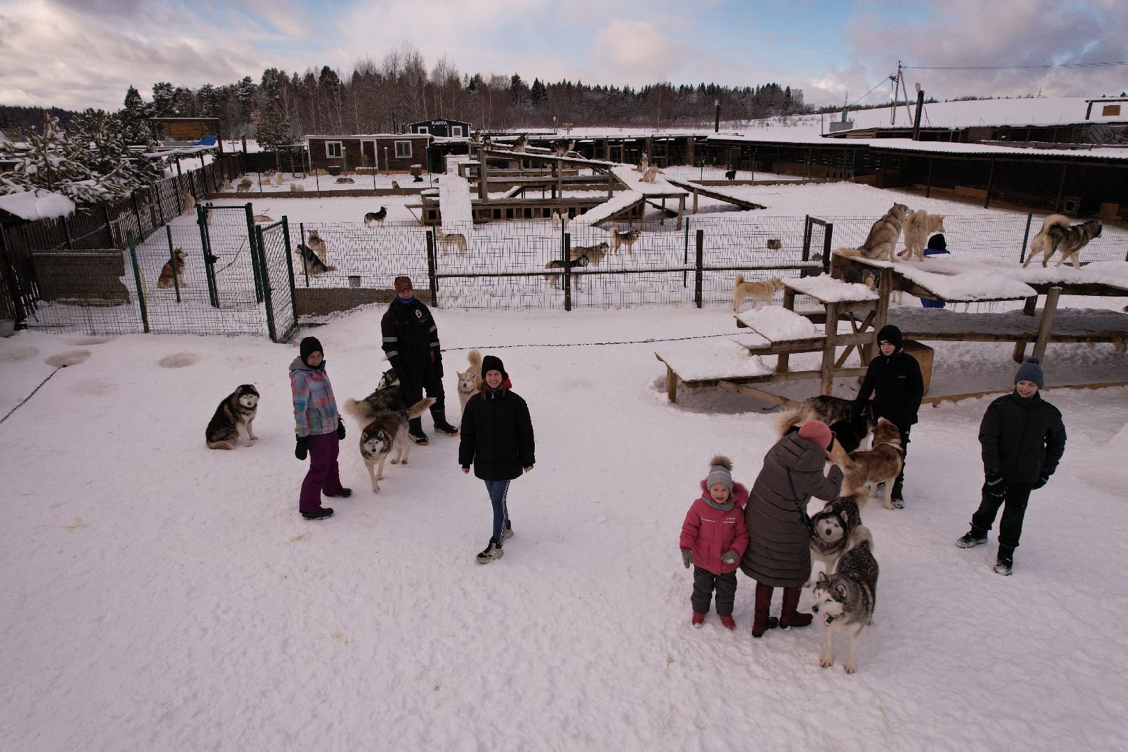 видео с коптера, руза, хаски,