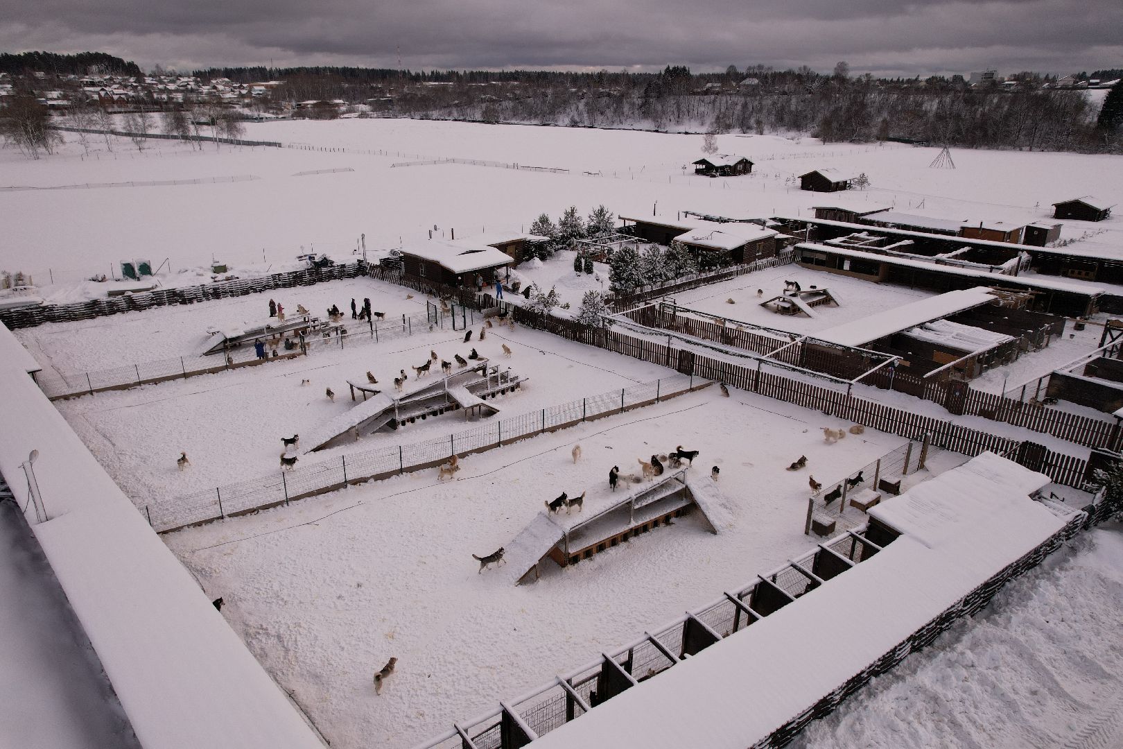 видео с коптера, руза, хаски,