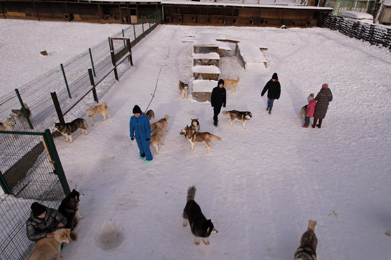 видео с коптера, руза, хаски,