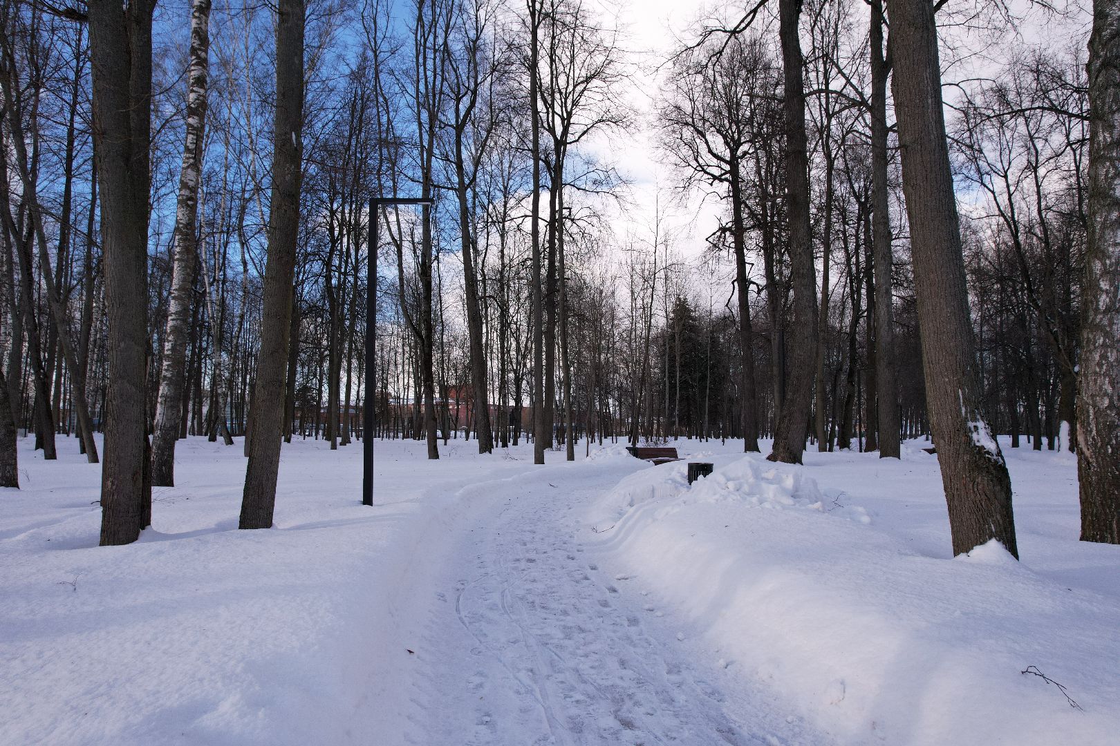 видео с коптера, парк,