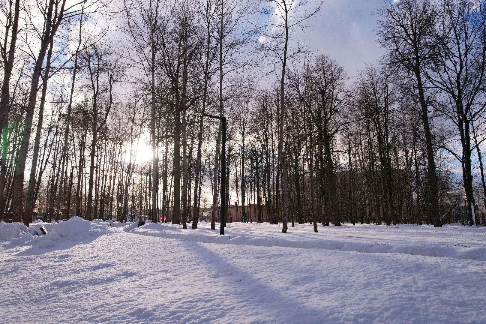 видео с коптера, парк,