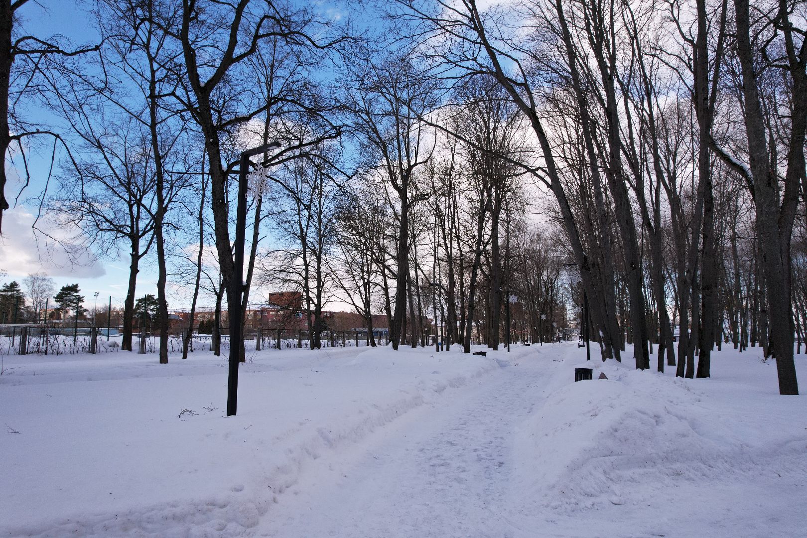 видео с коптера, парк,