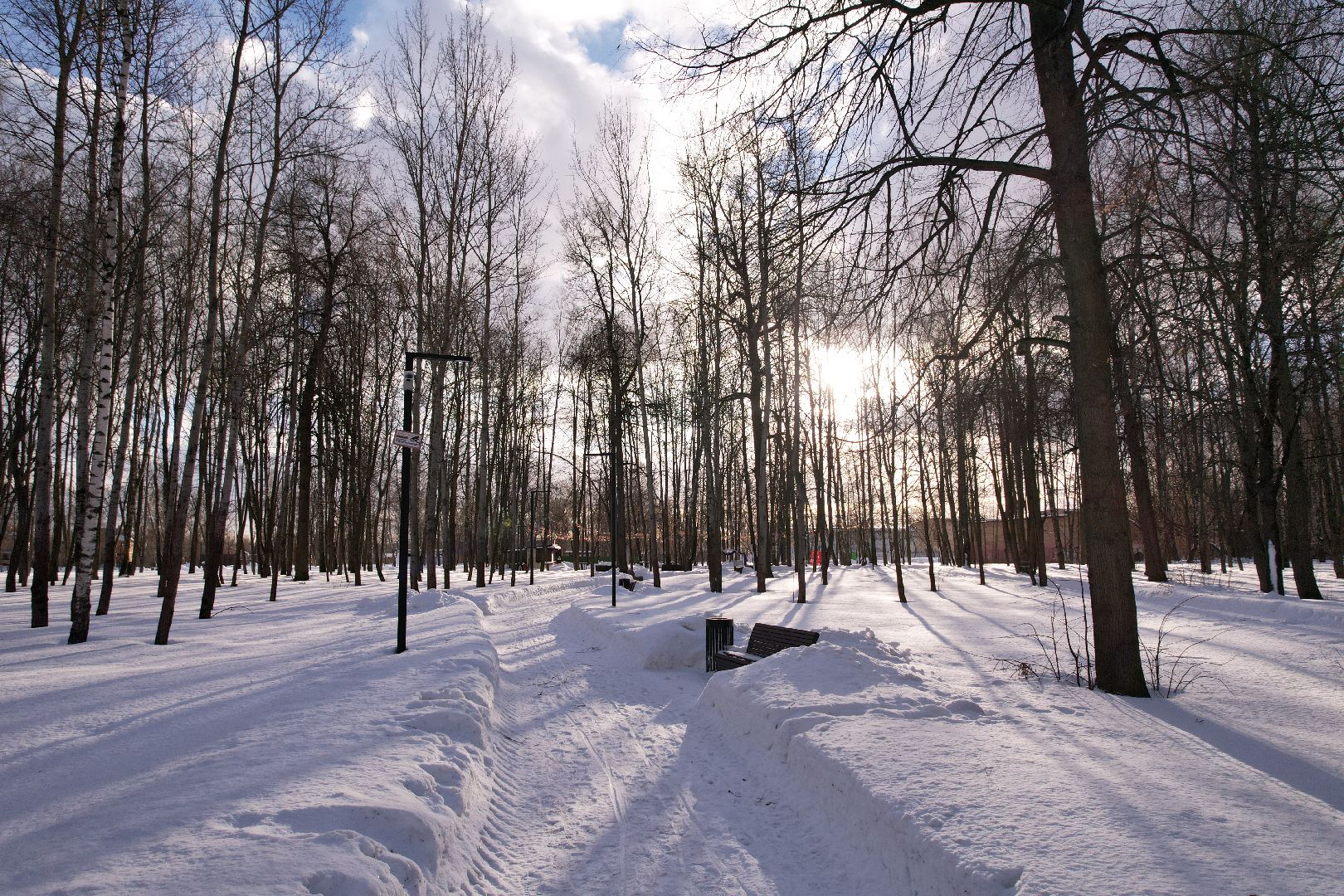 видео с коптера, парк,