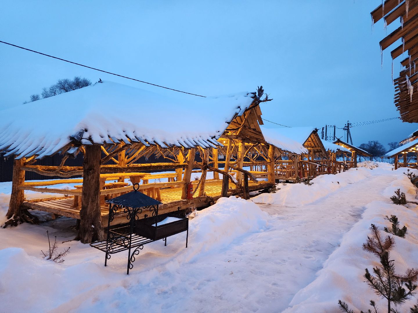 серпухов, подмосковье, хутор спасский, мининвест, овцы, верблюды, агротуризм,минсельхоз, бараны,