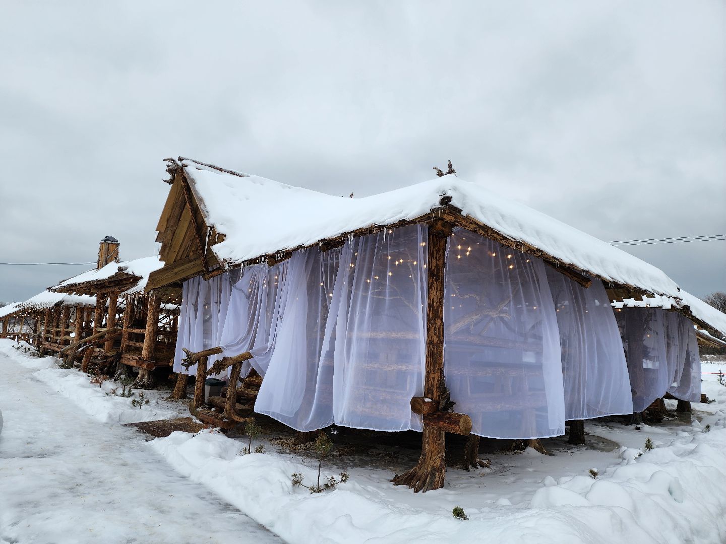 серпухов, подмосковье, хутор спасский, мининвест, овцы, верблюды, агротуризм,минсельхоз, бараны,