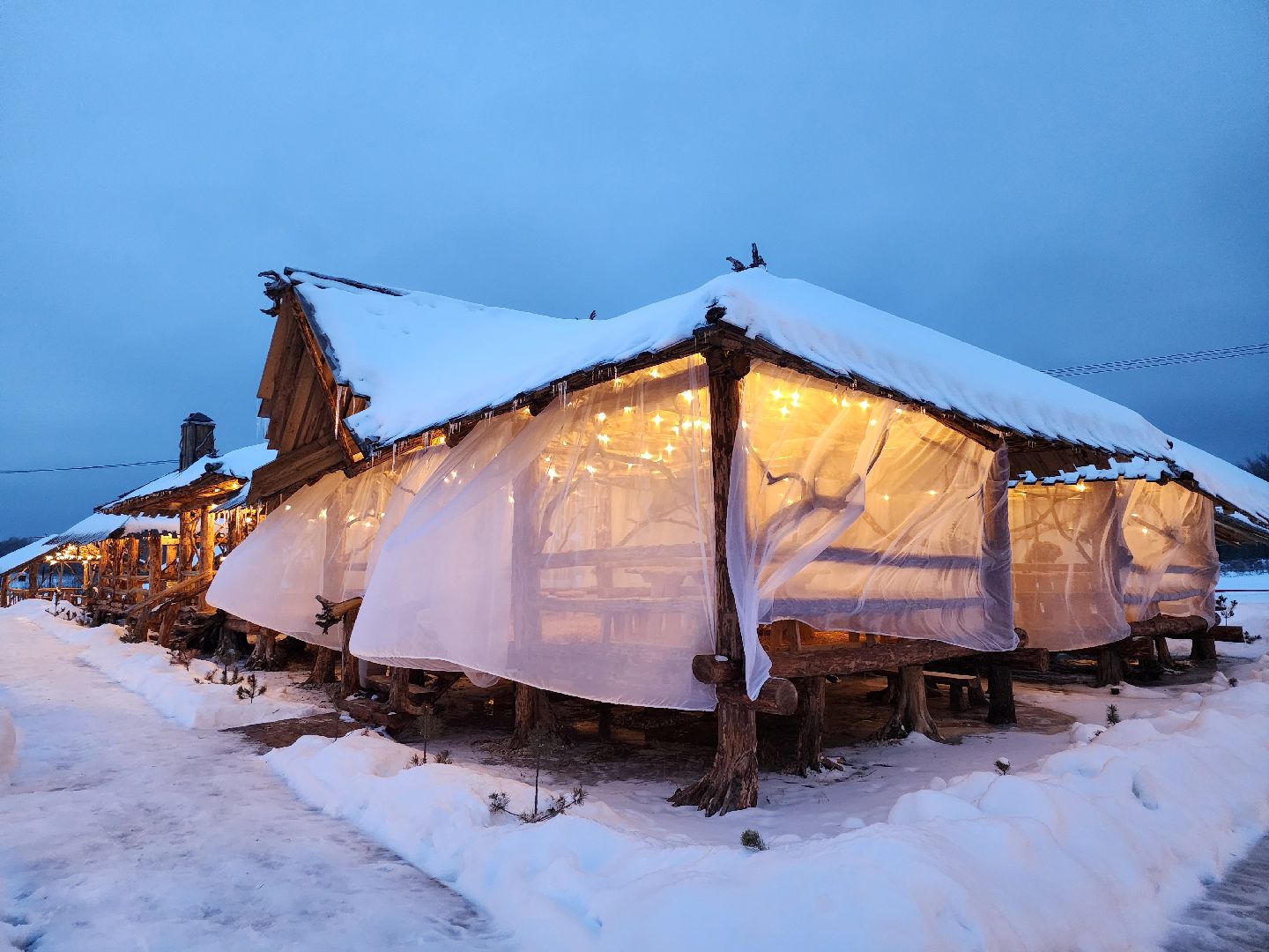 серпухов, подмосковье, хутор спасский, мининвест, овцы, верблюды, агротуризм,минсельхоз, бараны,