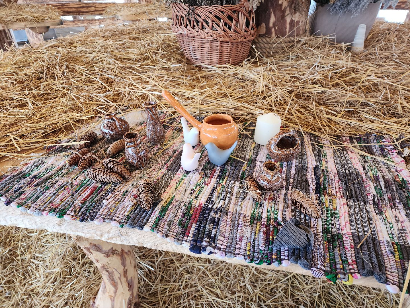 серпухов, подмосковье, хутор спасский, мининвест, овцы, верблюды, агротуризм,минсельхоз, бараны,