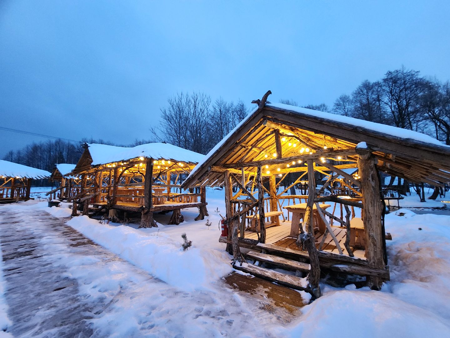 серпухов, подмосковье, хутор спасский, мининвест, овцы, верблюды, агротуризм,минсельхоз, бараны,