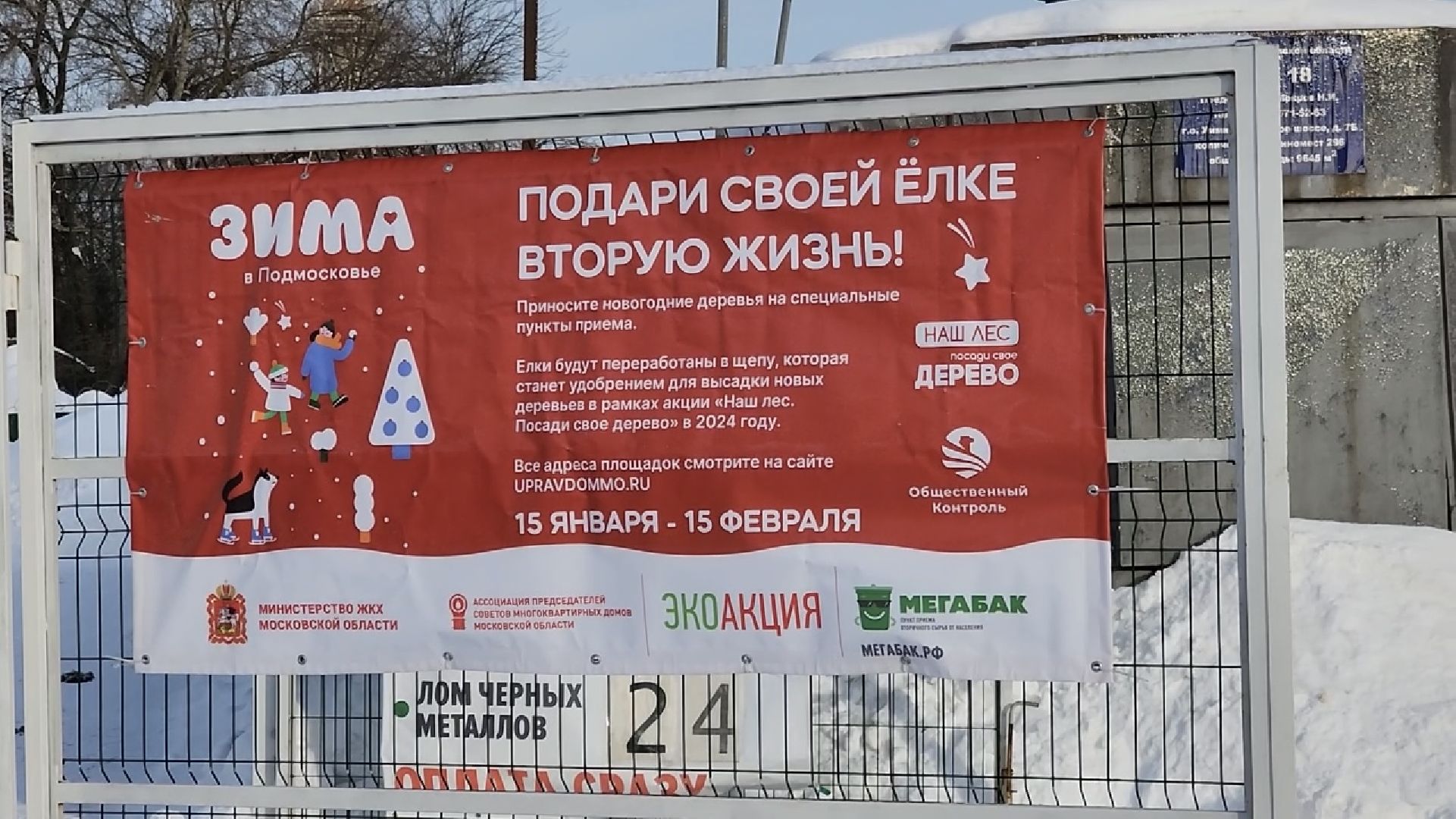 химки, экология, мегабак, переработка, ёлка, подари своей елке вторую жизнь,