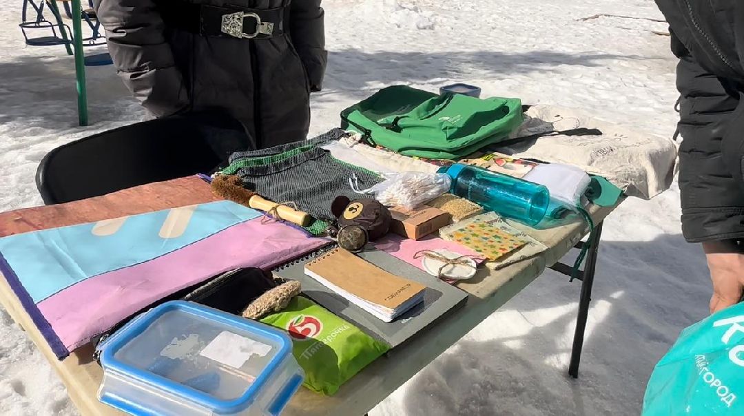 экодвор, акция, экология