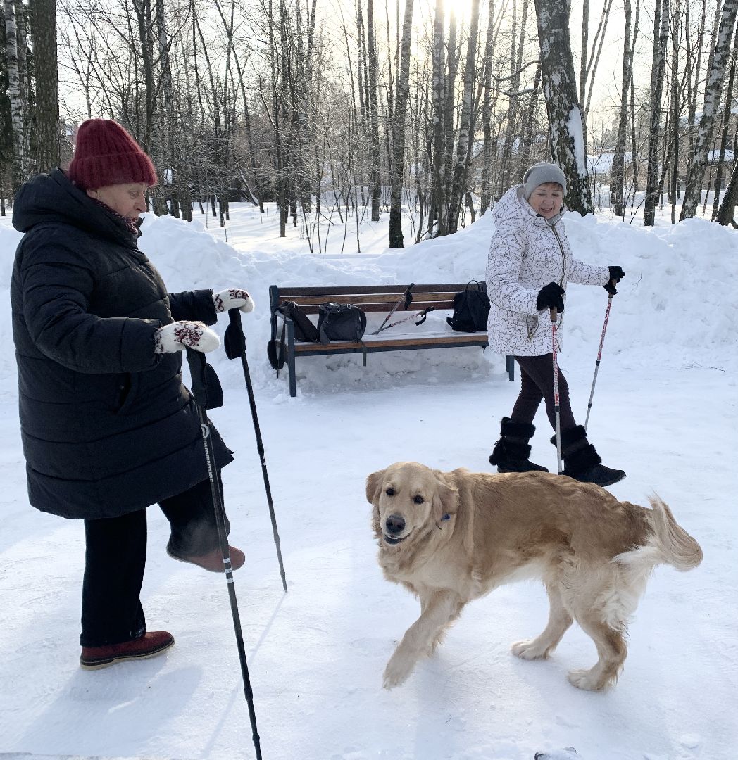 Балашиха, Подмосковье, Активное долголетие, северная ходьба, Парки Балашихи,