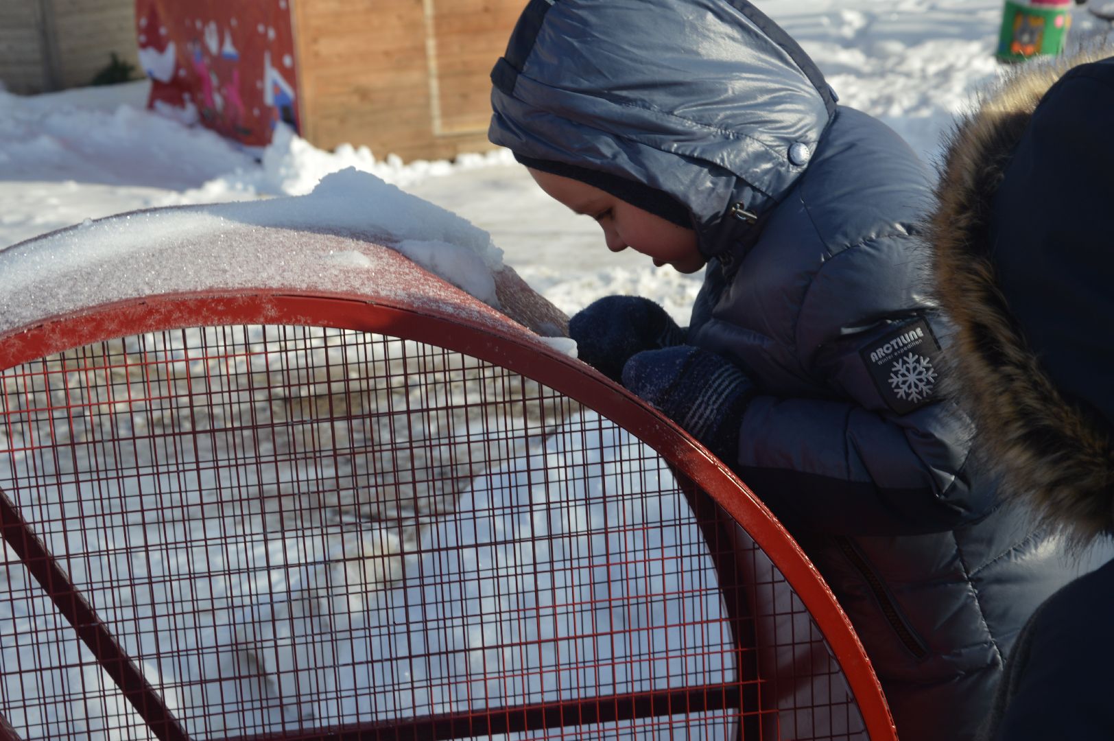 международная экологическая акция, международная акция, шатура, крышки 2024, парк, экология, экологическое дело,