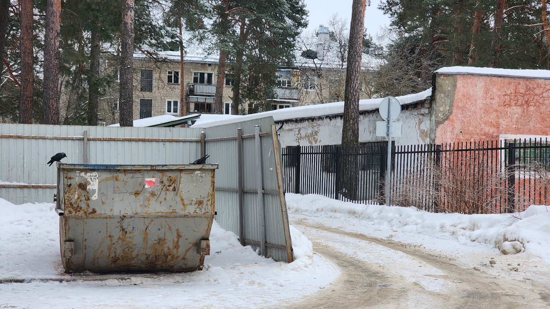 знаки, знаки запрета парковки, парковка запрещена, контейнерная площадка, протвино, подмосковье, пдд,
