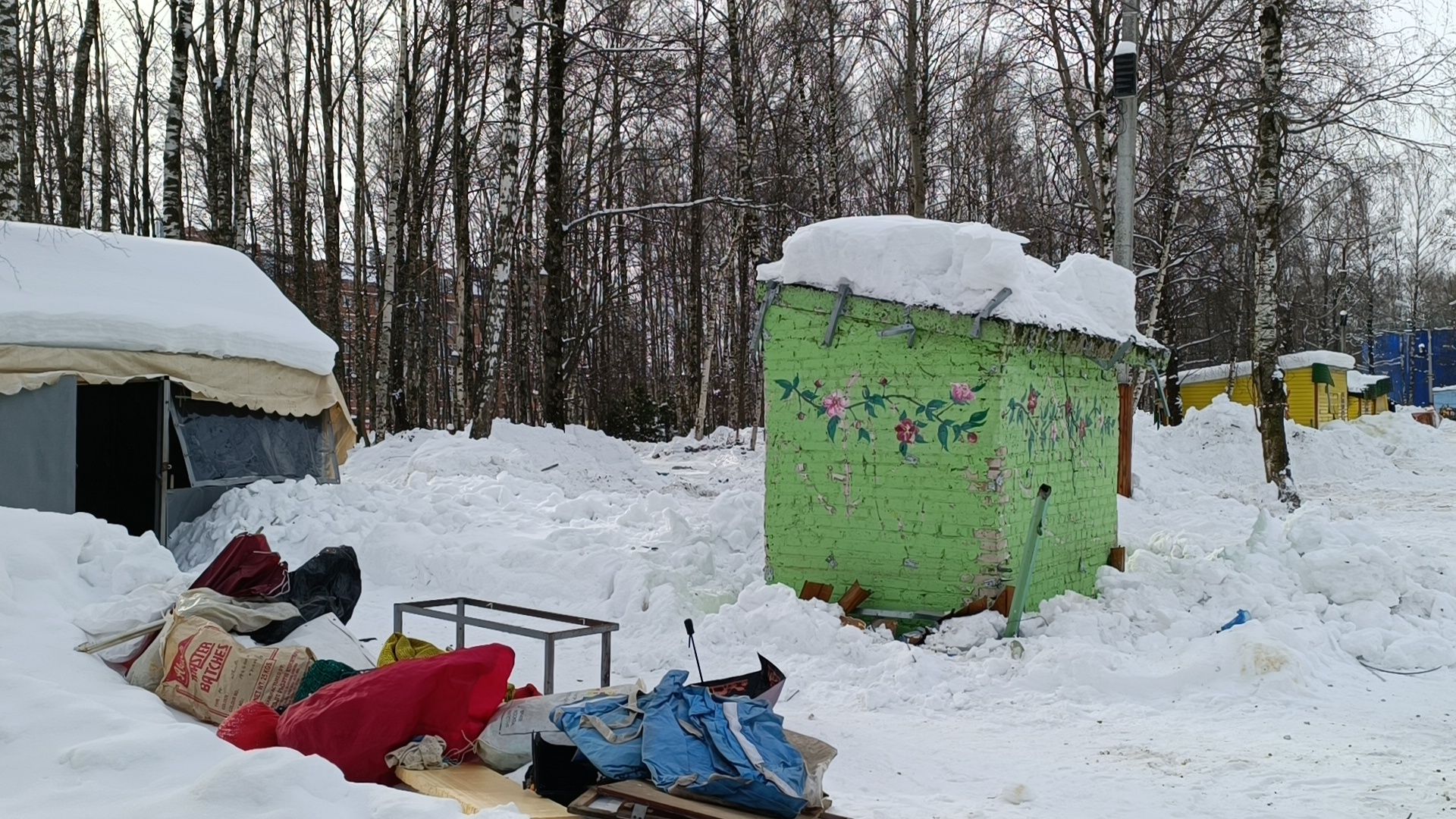 парк, реконструкция, лобня,