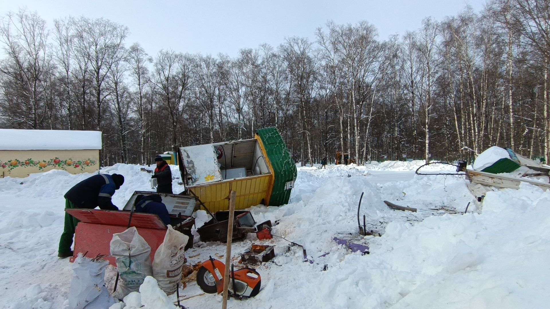 парк, реконструкция, лобня,
