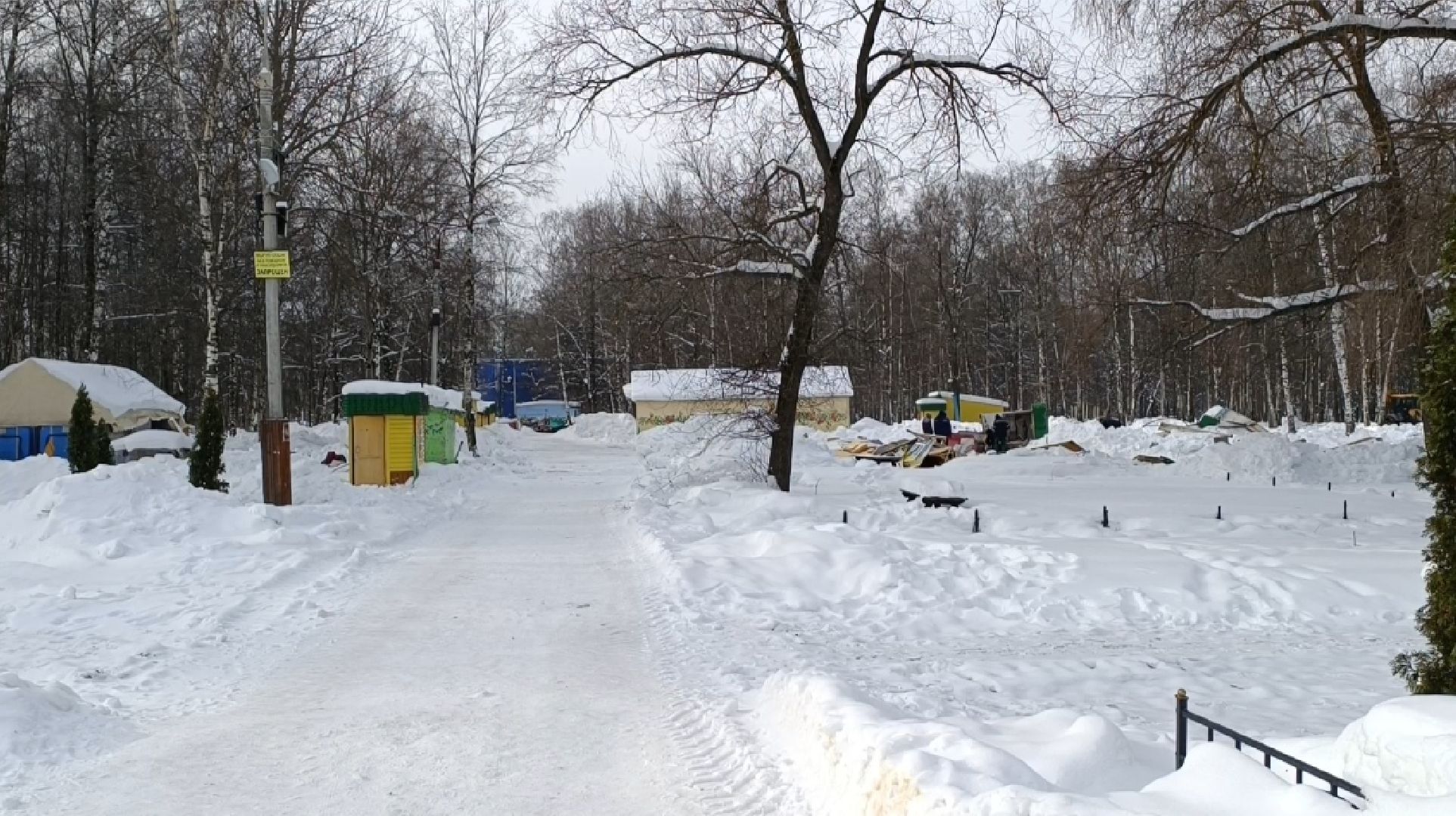 парк, реконструкция, лобня,