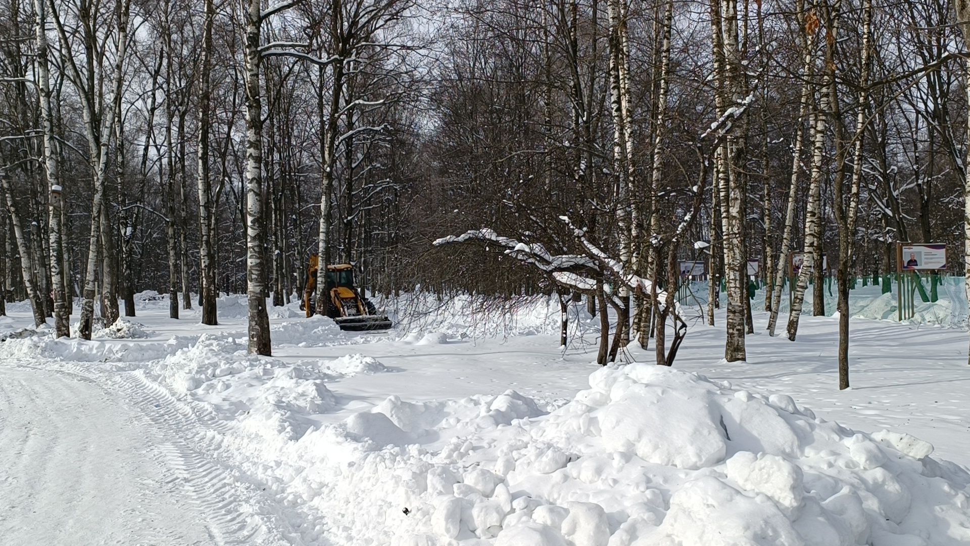парк, реконструкция, лобня,
