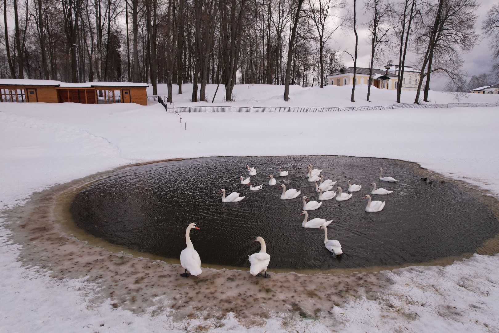 видео с коптера, лосино-петровский, культура, усадьба,